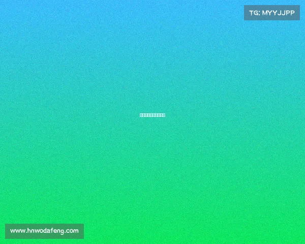 赛车赛事手册在哪里看